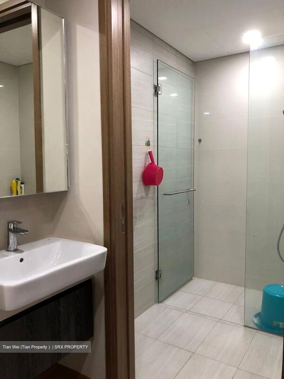 Lakeville (D22), Condominium #509432691